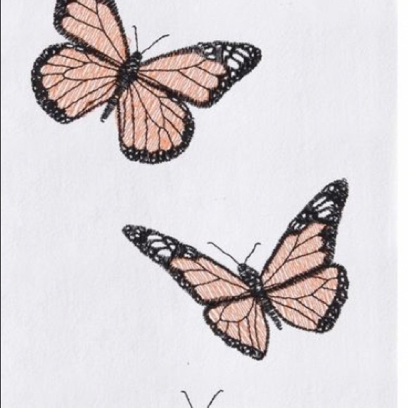 Meet your Posher, Lily - Picture 1 of 1